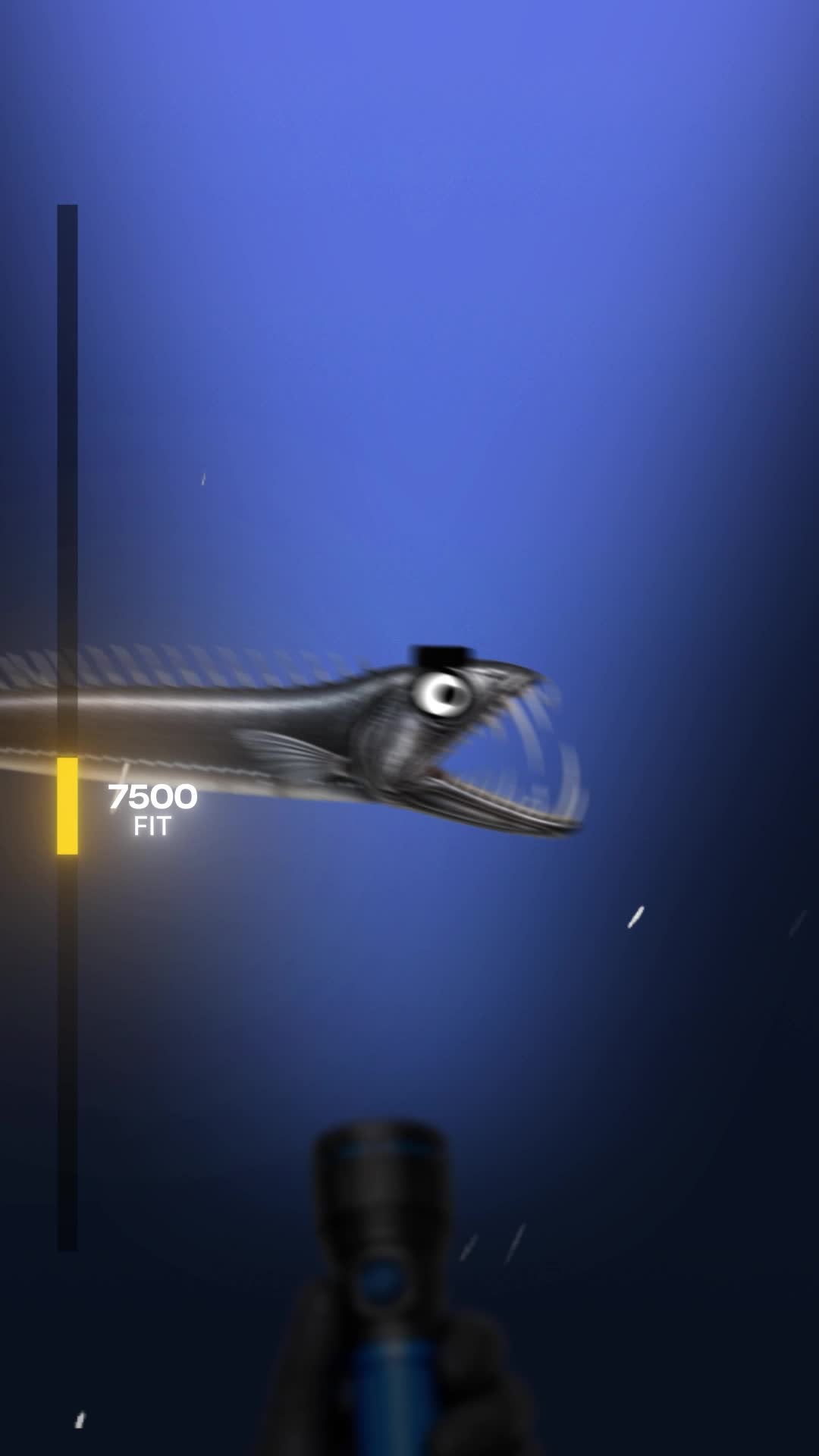 Weirdest deep sea creatures — animated short preview